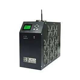 Eagle Eye Power Solutions LB-24-36-48-300DAC Banco de Carga de Bateria