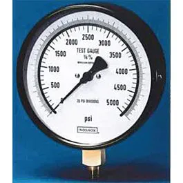 Manômetro de Teste de Precisão NOSHOK 60-800-200-PSI